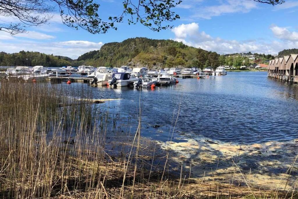 Mandal Apartment Mit Moeglichkeit Ein Boot Zu Benutzen Und Angeln ภายนอก รูปภาพ